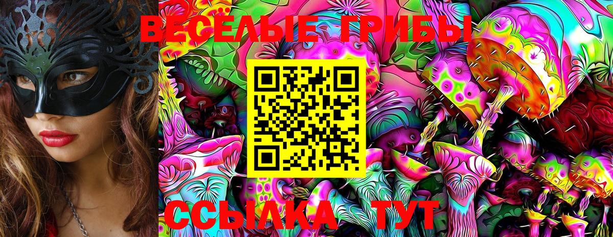 Галлюциногенные грибы Psilocybe Ртищево